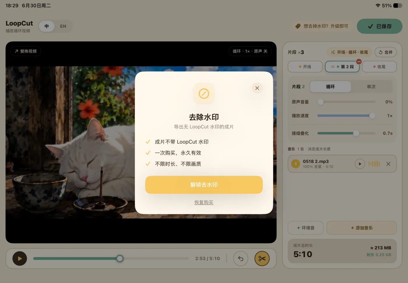 LoopCut 去除水印页面：一次购买永久有效，不限时长与画质
